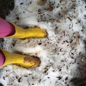 Meet your Posher, Susan